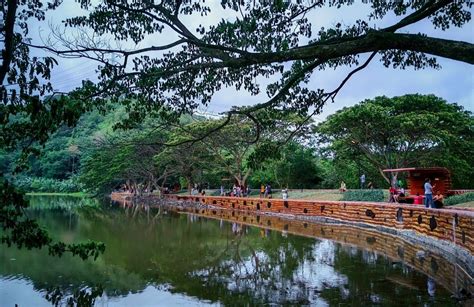 digos city eco park and arboretum